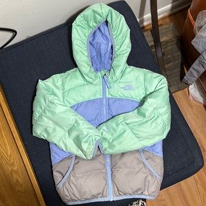 Reversible North Face 550 Jacket